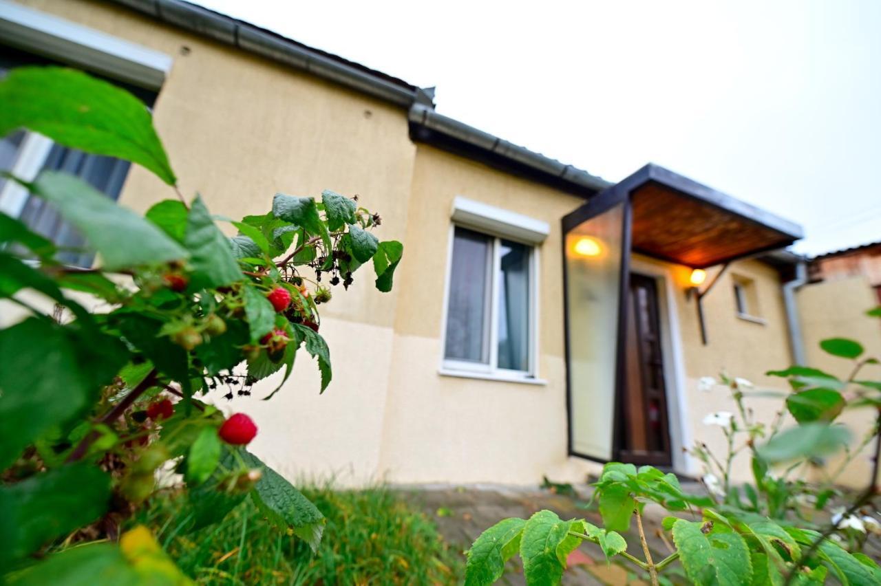 Flh - Corina's Place Apartment Hermannstadt